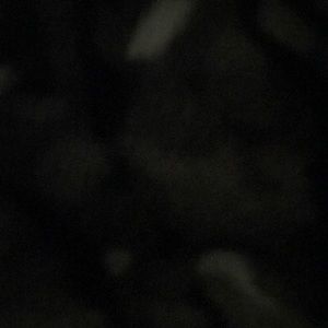 A mysteries according to Humphrey book